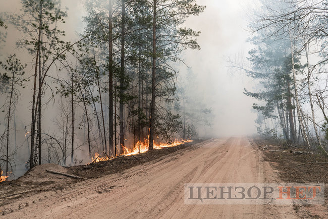 День з пожежниками на передовій. Фотозвіт 09