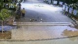 У Ніжині жінка розкидала квіти на Алеї Героїв