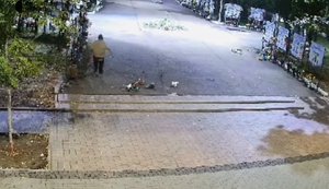 Розкидала квіти на Алеї Героїв у Ніжині: на порушницю складено протокол, - Нацполіція. ВIДЕО