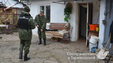 стрельба граната заложники петриков
