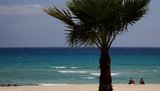 На Кипре чаще регистрируются украинские компании по недвижимости, торговле и финансах. ИНФОГРАФИКА