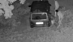 двоє зливають уночі бензин із машини