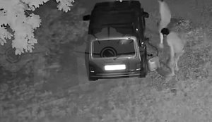 Двое мужчин ночью сливают топливо из припаркованного автомобиля в оккупированном Донецке. ВИДЕО