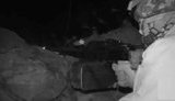 "С ответкой у наших бойцов проблем нет": украинские воины отражают атаку оккупантов под Зайцево. ВИДЕО