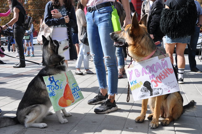 Thousand of Ukrainians protested against animals’ abuse 07