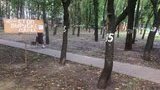 интернациональный