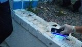 Таможенник, вымогавший 45 тыс. грн взятки, задержан на Херсонщине, - ГБР. ФОТО