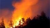 Сьогодні в Україні переважатиме найвищий рівень пожежної небезпеки, - ДСНС
