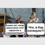 Будни карантина