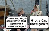 Будни карантина