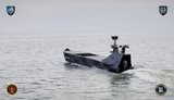 Морпіхи застосували "Баракуду" для ударів по окупантах
