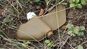 "Руководство Украины разоружило страну во время войны. Надеюсь, это станет предметом уголовного расследования", - Бутусов об уничтожении 3 млн противопехотных мин