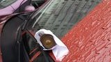 Хозяину Subaru в Харькове залили лобовое стекло красной краской и положили на дворники боевую гранату. ФОТО