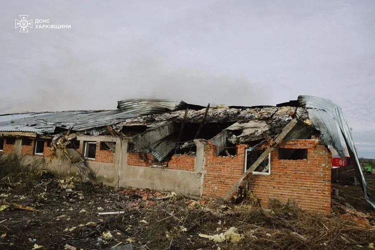 shelling of a pig farm