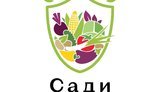 город