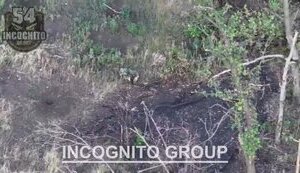 Remains of occupier left hanging in tree after drone strike by 54th Brigade named after Ivan Mazepa. VIDEO