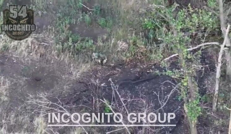 Remains of occupier left hanging in tree after drone strike by 54th Brigade named after Ivan Mazepa. VIDEO