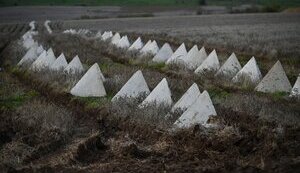 No fortifications near Pokrovske in Dnipropetrovsk region – journalist