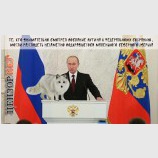 Зверек Путина