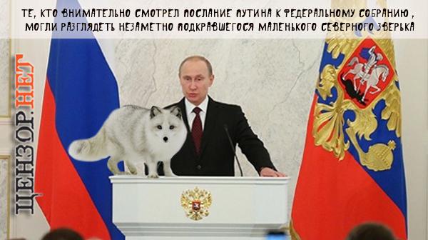 Зверек Путина