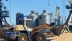 зерно,маріуполь