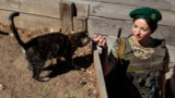 Inside the World of Ukraine