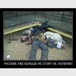 Свершилось!