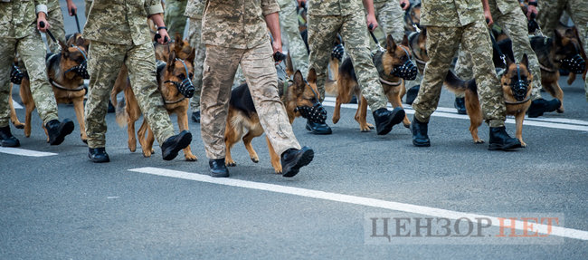 Репетиция военного парада 20 августа 14