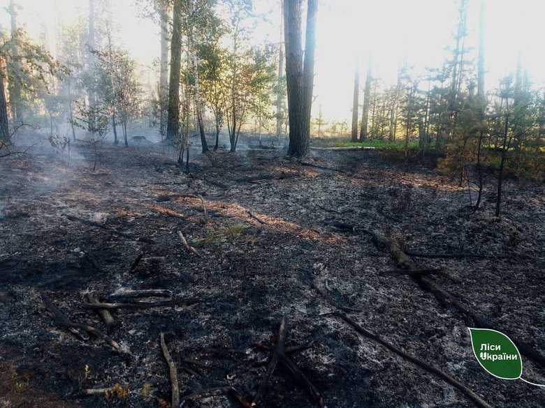 Російські дрони спричинили одразу п’ять лісових пожеж на Житомирщині.