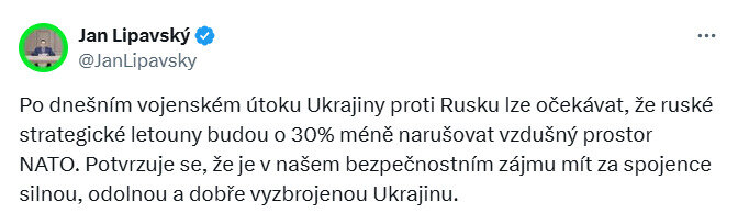 У Чехії прокоментували операцію СБУ Павутина