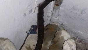 Запасы пресной воды на севере оккупированного Крыма иссякают: в водопровод Красноперекопска просачивается морская вода с водорослями. ФОТО