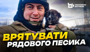 харків,тварин,порятунок