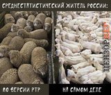 Мифы и реальность