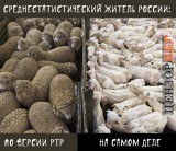 Мифы и реальность
