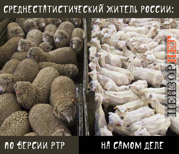 Мифы и реальность