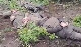 полонені