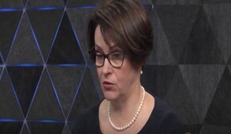 Обновленная партия Порошенко будет правой идеологии, - Южанина. ВИДЕО
