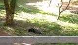 Ликвидация киллера Аслана Дикаева в Одессе. ВИДЕО.