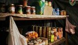 харчування