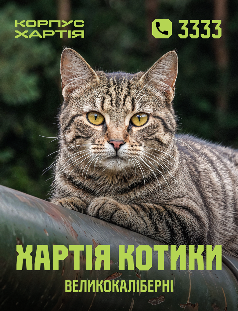 Хартия котики