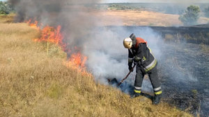 За добу на Дніпропетровщині сталося 85 пожеж на відкритих територіях, - ДСНС. ФОТО