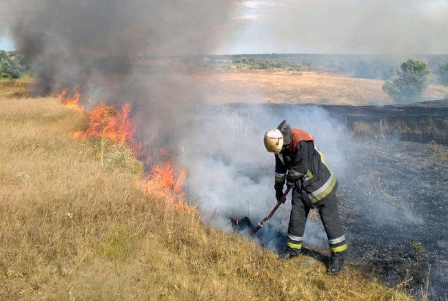 За добу на Дніпропетровщині сталося 85 пожеж на відкритих територіях, - ДСНС 01
