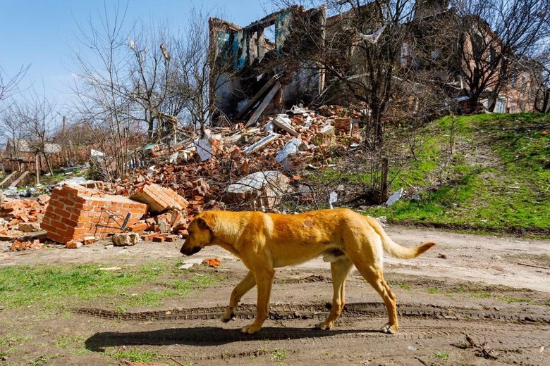 Село Рогань на Харківщині звільнене від російських окупантів та повертається до життя, - ОВА 05 Село Рогань на Харківщині звільнене від російських окупантів та повертається до життя, - ОВА 05