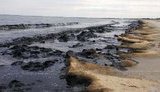 море