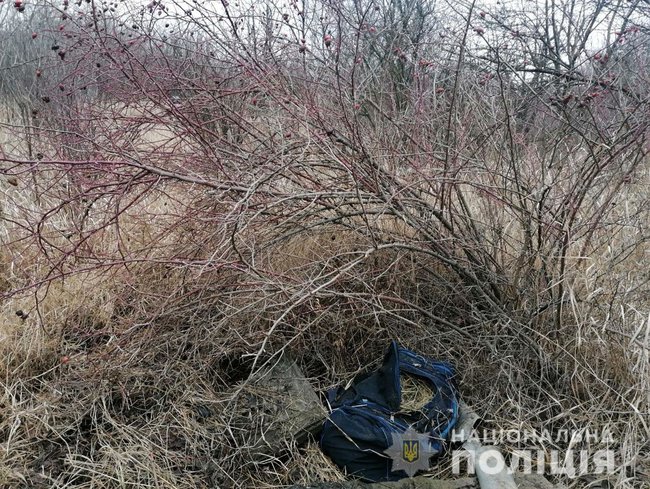 На Донеччині у лісосмузі знайшли сумку з 18 гранатами, - Нацполіція 01
