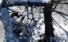 раненый оккупант застрелился
