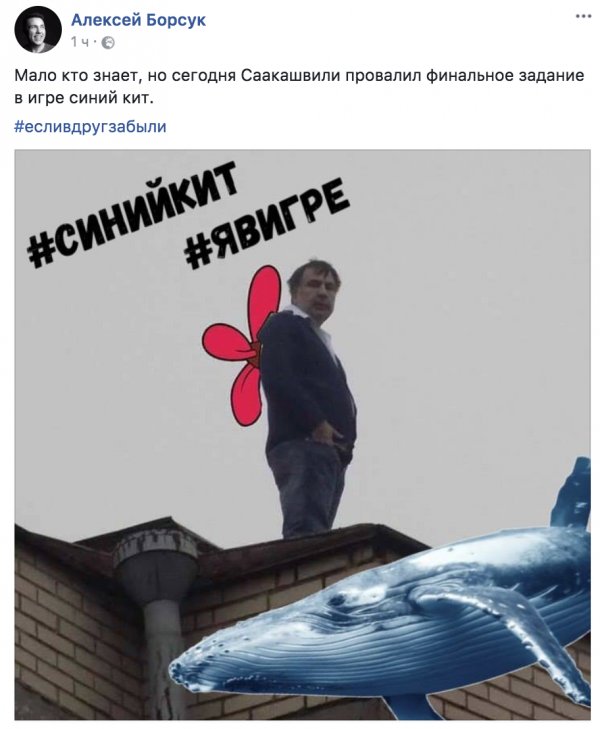 Побешкетуємо на даху? Затримання Саакашвілі у ФОТОжабах 10