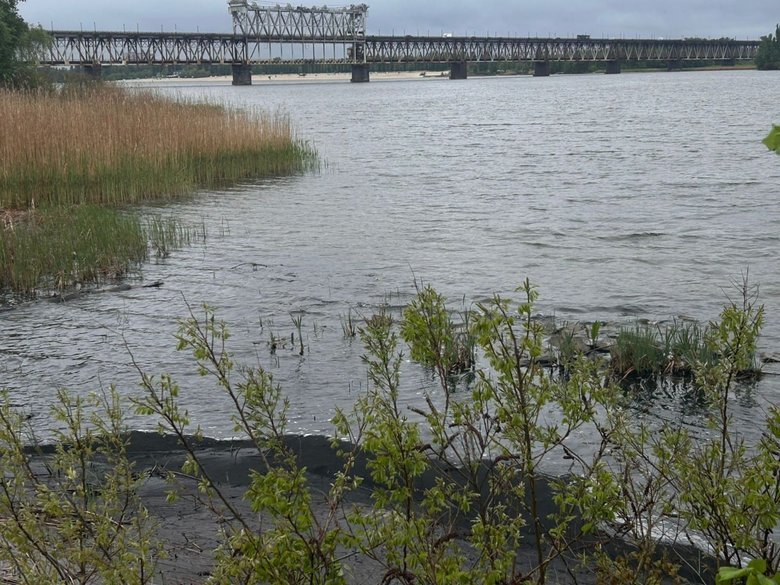 Невідома речовина у водоймах Кременчука