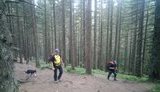 Хлопчик 2015 року народження загубився під час підйому групи туристів на Говерлу. Триває пошук, - ДСНС. ВІДЕО+ФОТО
