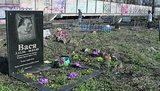 В столице появится кладбище для домашних животных с крематорием и колумбарием
